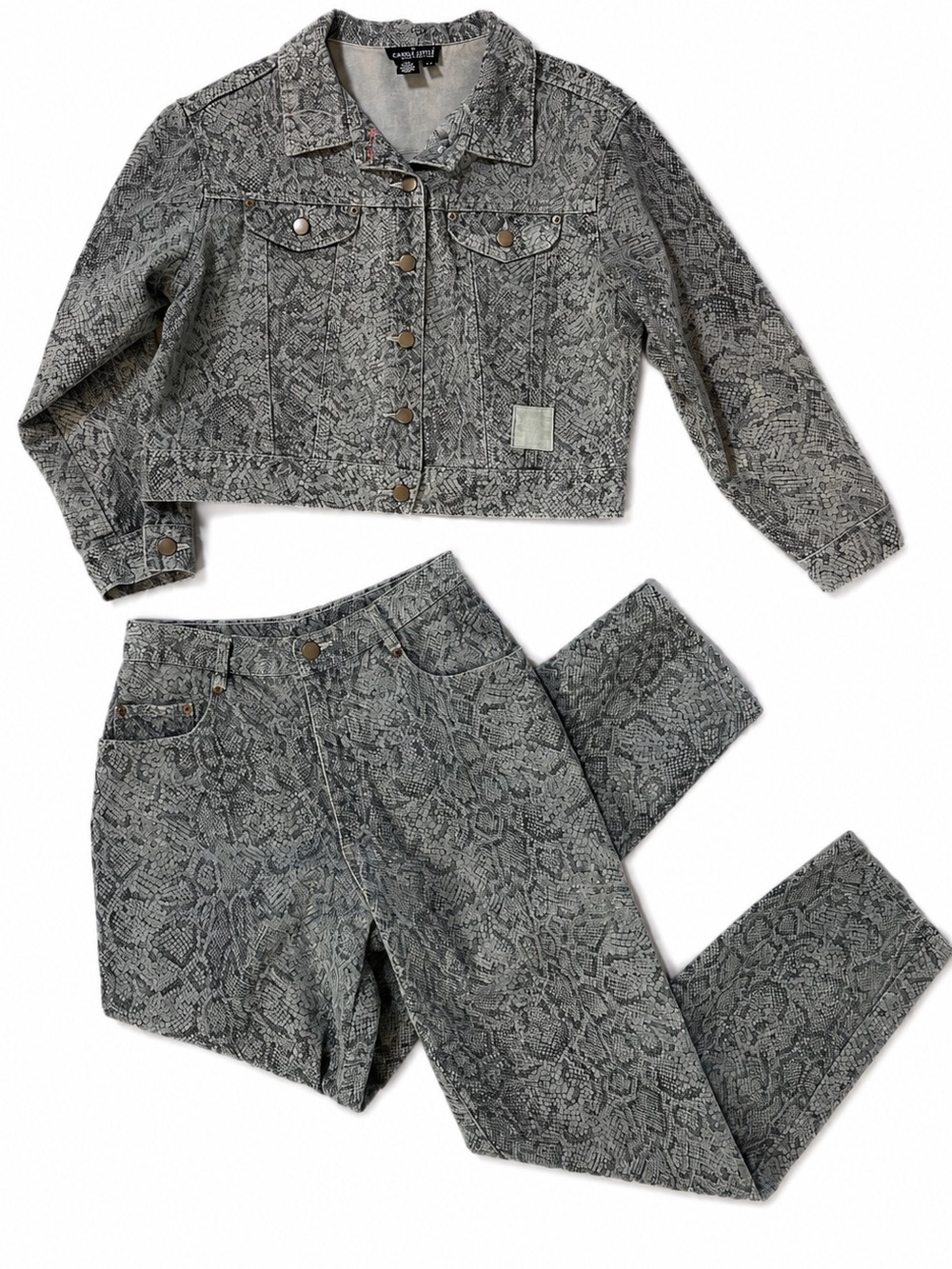 Vintage Carole Little Sport Petites Snakeskin Print Denim Jacket & Pant Set M/8